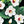 Magnolia Sieboldii, (Oyama Magnolia)