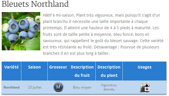 Bleuetier Northland