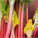 Rhubarbe 'Cawood delight'