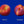 Nectarine Harrovin Nova