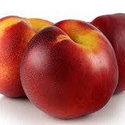 Nectarine Harovin rouge