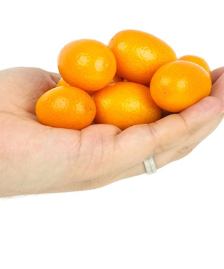 Kumquat Meiwa Nain