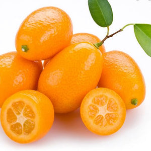 Kumquat Nagami Nain