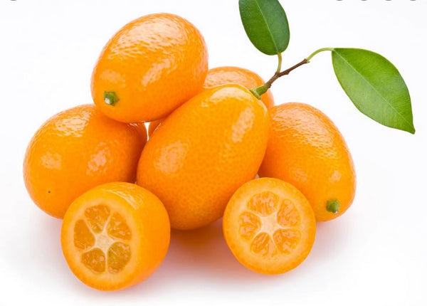 Kumquat Nagami Nain