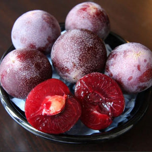 Pluot : FLAVOR KING Semi-Dwarf (Mustang)