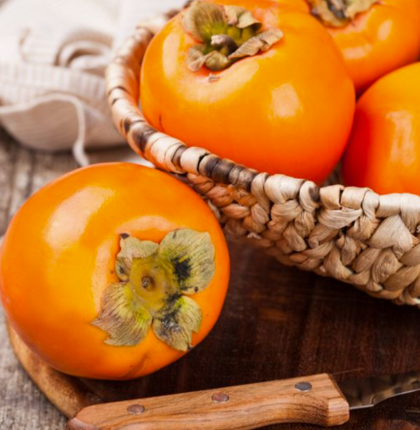 Plaqueminier greffé Kaki EARLY GOLDEN