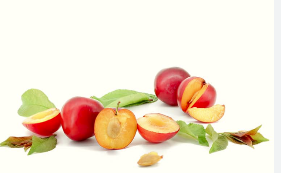 Prunier hybride américain UNDERWOOD semi-nain (MUSTANG)