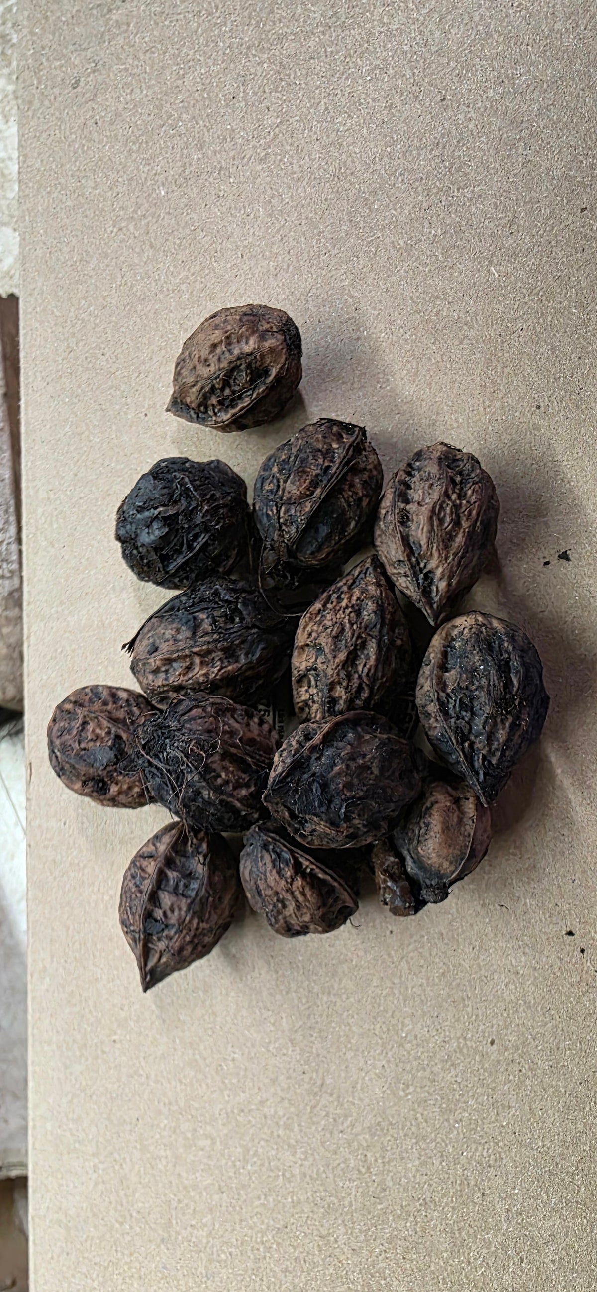 Nouveautés