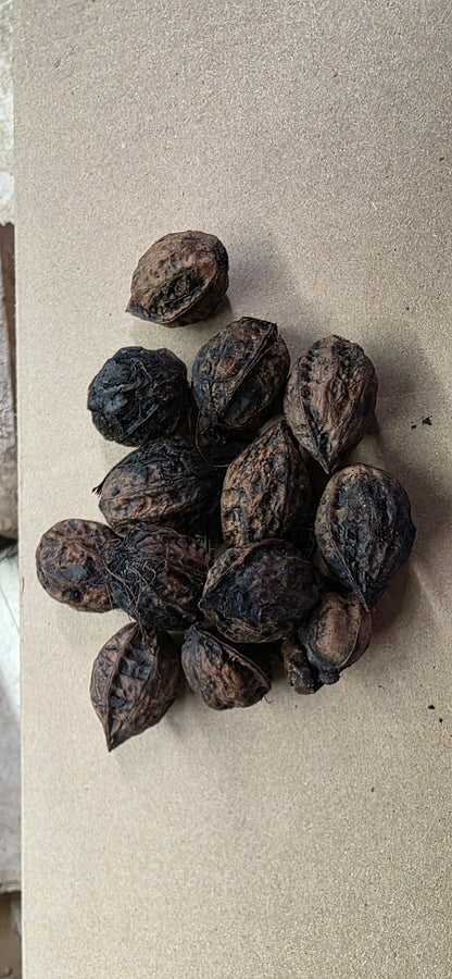 Noix, semences et autres produits