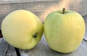 Pommier Silken